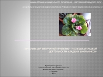 Презентация по организации внеурочной проектно - исследовательской деятельности младших школьников