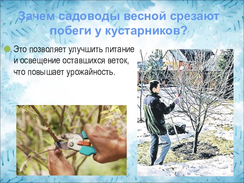 зачем садовод осенью при первых огэ