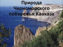 Природа черноморского побережья Кавказа