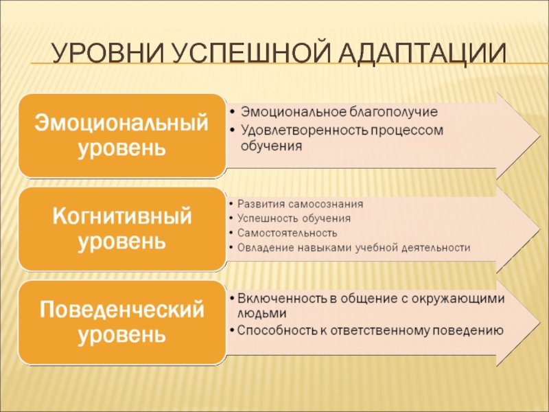 Уровни адаптации. Уровни успешной адаптации. Эмоциональная адаптация. Уровень эмоциональной адаптации.