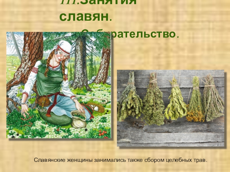 Также собираем. Собирательство восточных славян презентация. Занятия восточных славян женщин рисунок. Чем занимались женщины славяне. Собирательство восточных славян.