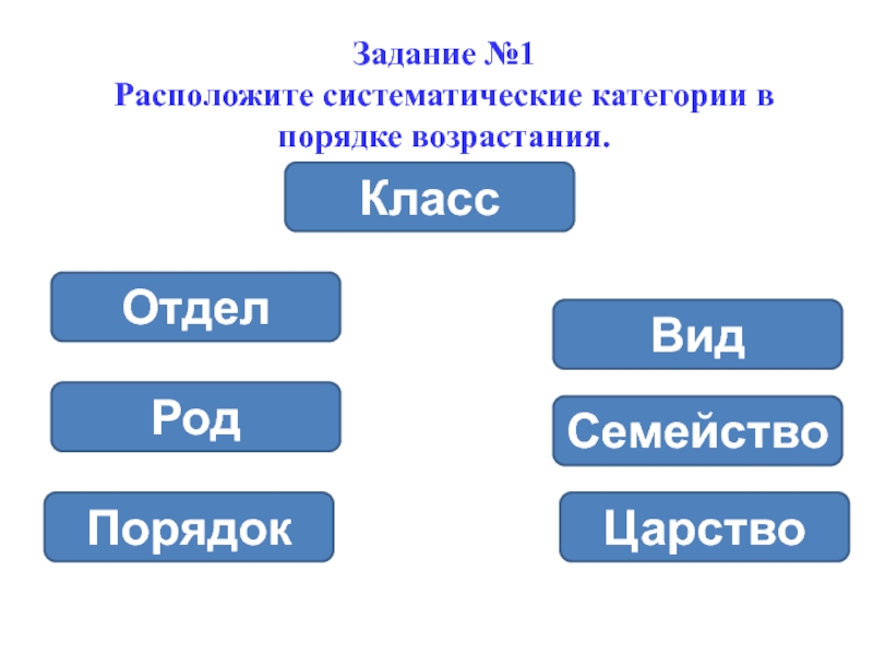 Принципы классификации систематика биология 11 класс презентация