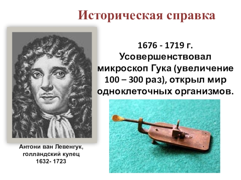 Открытие ван левенгука. Антони Ван Левенгук открыл одноклеточные организмы. Антони Ван Левенгук открыл микроскоп. Ван Левенгук открытия.