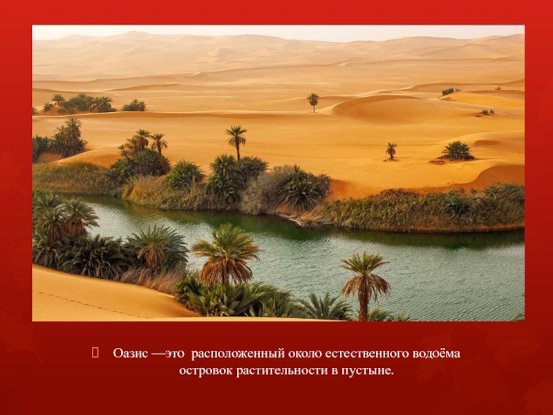 Оазис —это расположенный около естественного водоёма островок растительности в пустыне.