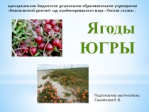 Презентация для дошкольников Ягоды ЮГРЫ