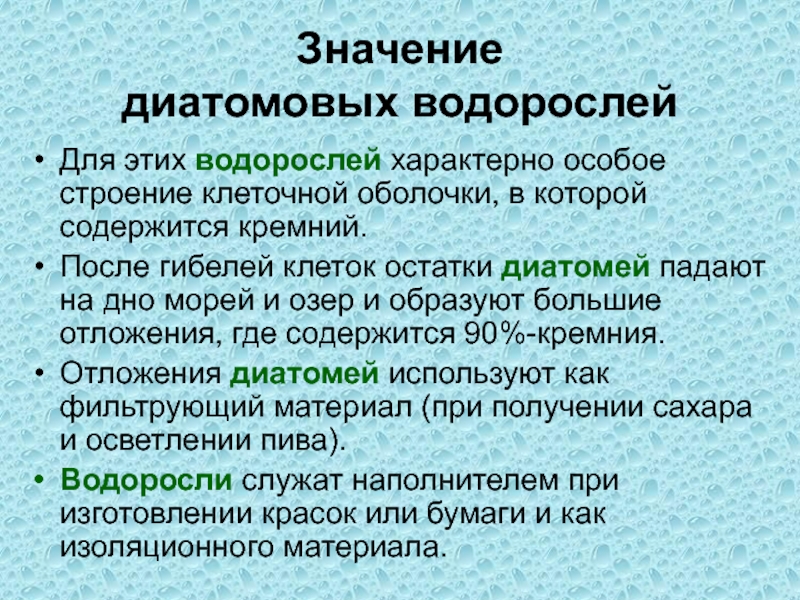 Диатомовые водоросли презентация