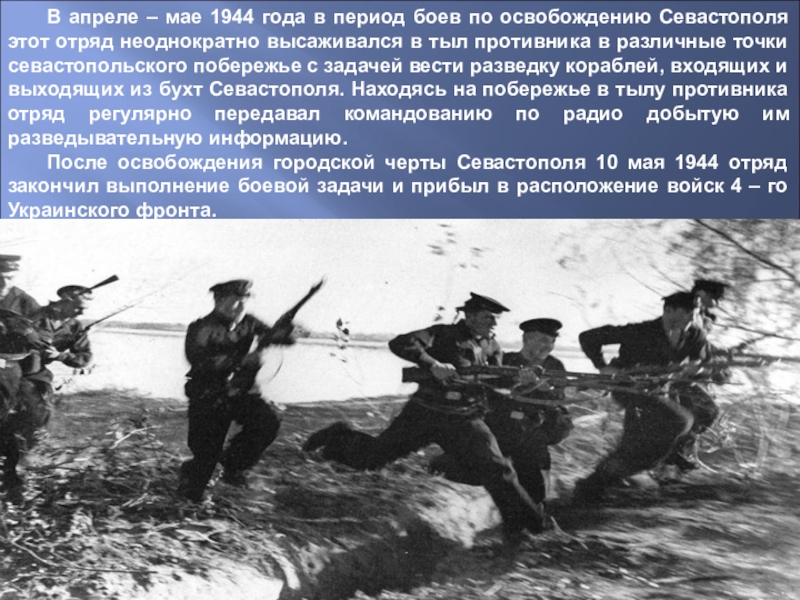 1 мая 1944. Стрельнинско-Петергофская операция 1941. Петергофский десант 1941 года. Петергофский морской десант 1941 года. Морской десант в октябре 1941 года в Петергофе.