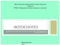 Презентация по биологии на тему Фотосинтез (10 класс)