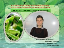 Презентация по биологии на тему Богомолы