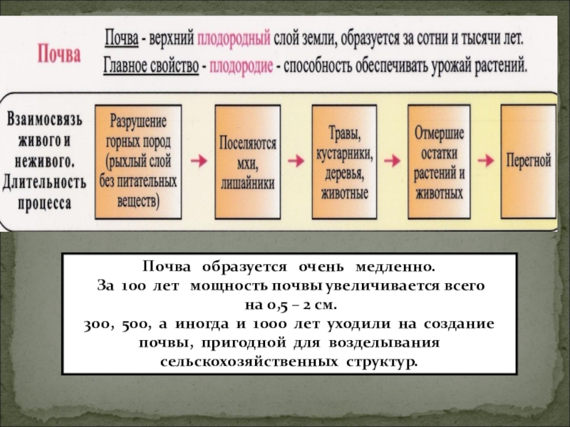 Почва как особое природное тело 6 класс презентация