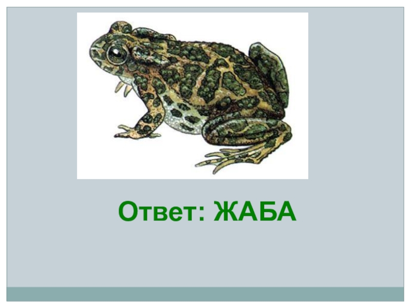 Квн по окружающему миру 3 класс с ответами и презентацией