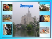 Презентация по русскому языку на тему Однородные члены предложения. Дополнение