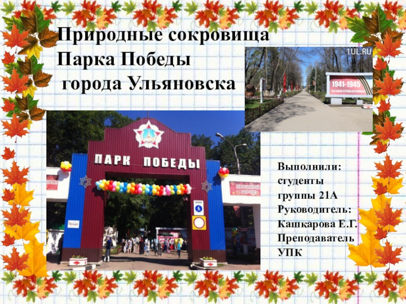 Природные сокровища парка Победы города Ульяновска