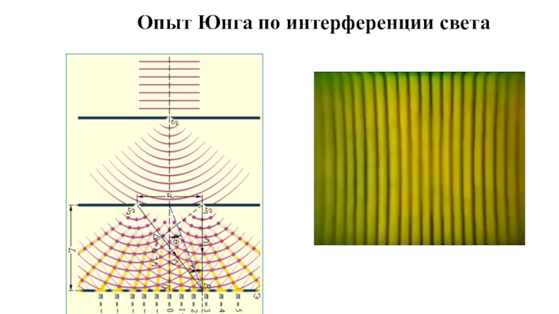 Схема юнга интерференция света