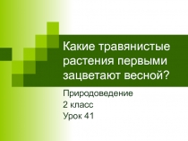 Презентация по окружающему миру на тему Какие травянистые растения первыми зацветают весной (2 класс)