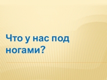 Презентация по окружающему миру Что у нас под ногами