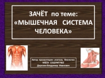 Презентация по биологии на тему:  Зачёт по мышечной системе человека(8 класс)