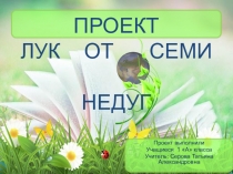 Презентация проекта  Лук от семи недуг