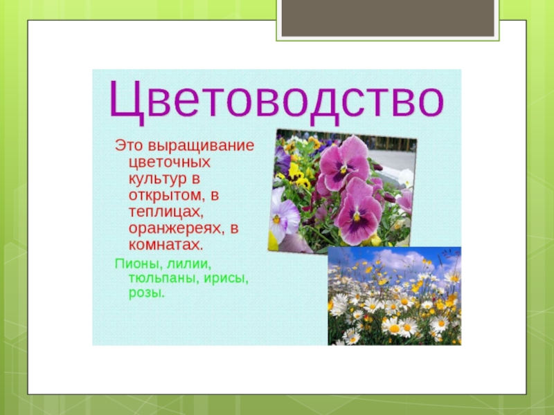 Растениеводство проект 4 класс окружающий мир