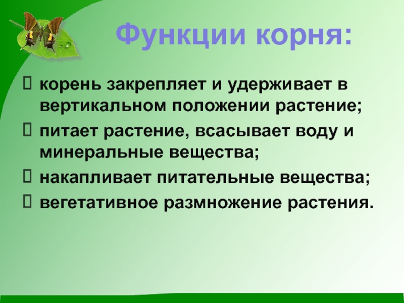 Корень функции. Функции растений. Функции растительности. Функции растений в природе. Корни водных растений функции.