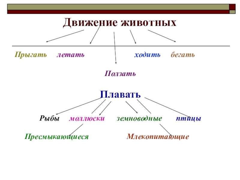 Движение 6 класс. Типы передвижения животных. Способы движения животных. Назовите способы передвижения животных. Способы движения животных таблица.