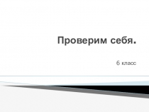 Презентация по изобразительному искусству на тему Проверим себя. Портрет (6 класс)