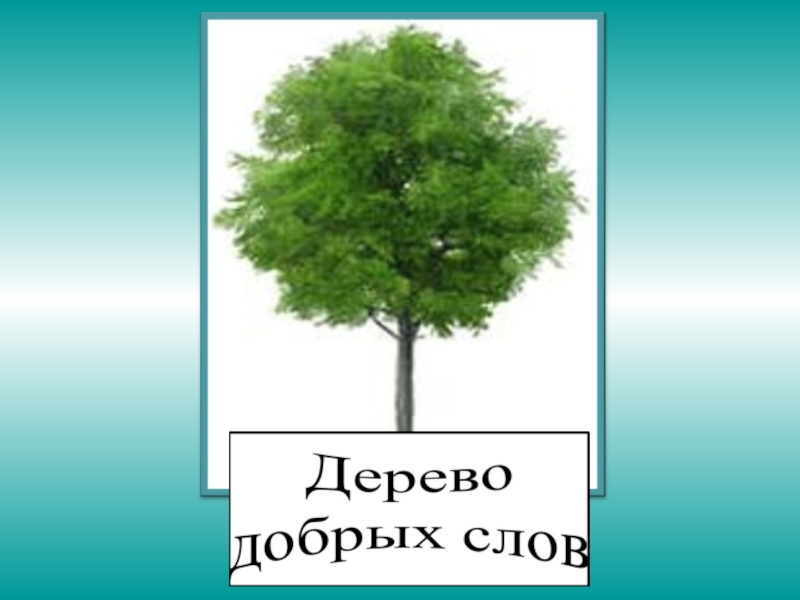 дерево добрых слов. дерево добрых слов. добрые слова. дерево доброты. дерево добра в детском саду.