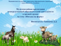 Презентация НОД на тему Поездка на ферму