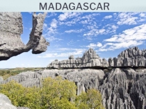 Презентация по английскому языку на тему Мадагаскар