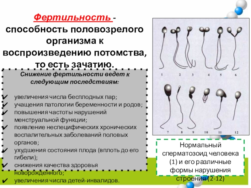 Фертильность