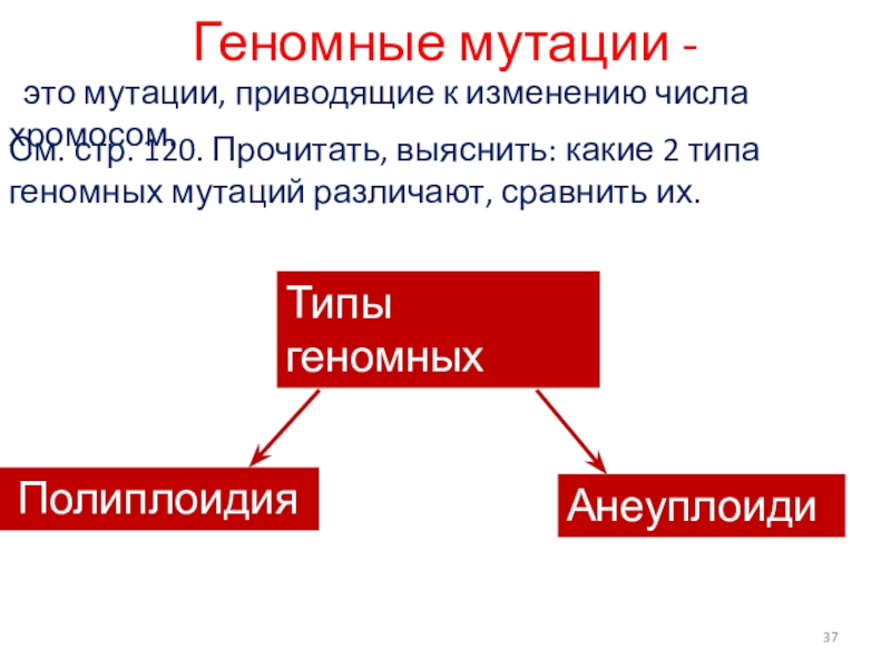 Геномные мутации изменение числа хромосом. Анеуплоидия это мутация. Мутация определение. Мутации приводящие к изменению числа. Мутации приводящие к изменению числа хромосом.