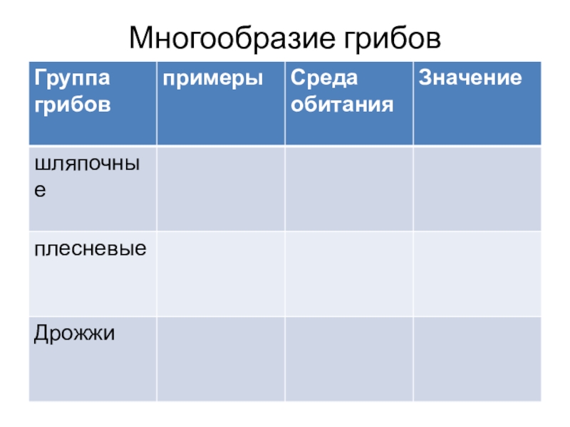 Многообразие и значение. Многообразие грибов таблица. Разнообразие грибов таблица. Многообразие грибов среда обитания. Многообразие грибов группа грибов примеры среда обитания значение.