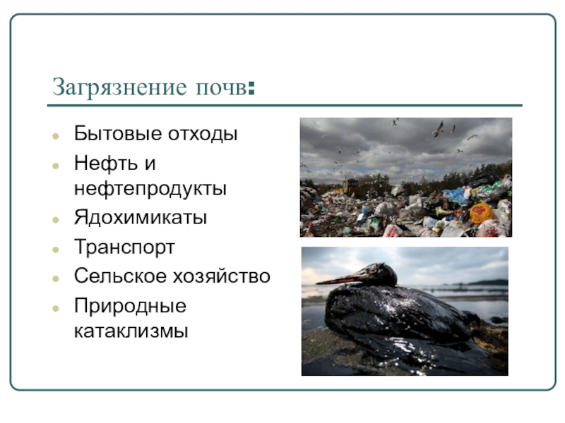 Проблемы загрязнения почвы. Причины загрязнения нефтью. Источники загрязнения почв нефтью и нефтепродуктами. Загрязнение почвы нефтью последствия. Последствия загрязнения почв нефтью и нефтепродуктами.