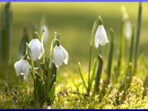 Презентация к итоговому ОД По радужным дорожкам