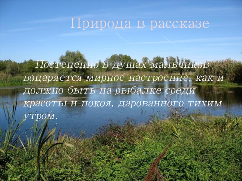 Природа в рассказеПостепенно в душах мальчиков воцаряется мирное настроение, как и должно быть на рыбалке среди красоты