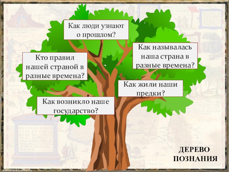 Заполни схему как люди узнают о прошлом