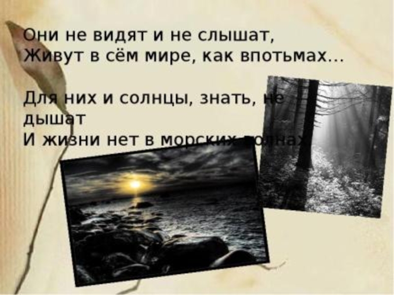 По живем увидим. Они не видят и не слышат Тютчев. Они не видят и не слышат. Они не видят и не слышат живут в сем. Они не видят и не слышат живут в сем мире как впотьмах.