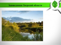 Заповедники Тверской области (Центрально-Лесной государственный природный биосферный заповедник)
