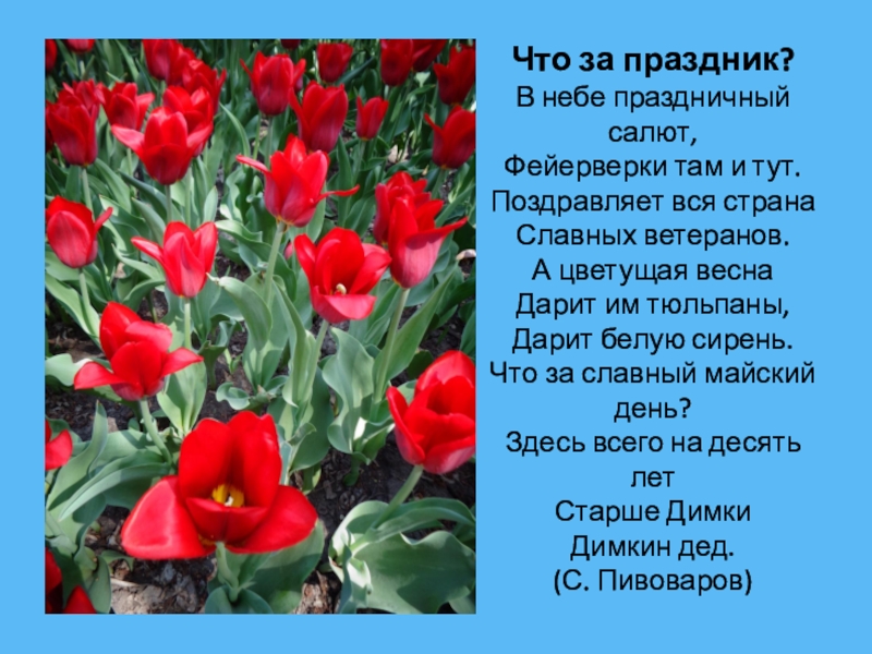 Стихи про тюльпаны и весну