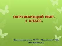 Презентация по окружающему миру 1 класс на тему Как живут животные?