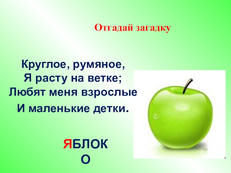 Круглый загадка. Круглое румяное я расту на ветке. Отгадай загадку круглое румяное. Круглые загадки. Загадки про круглые предметы для детей.