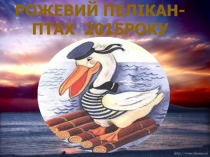 Презентація на тему Пеликан