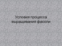 Ученический проект о выращивании фасоли из семени (1 вид)