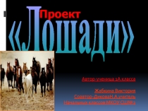 Презентация проект лошади по окружающему миру