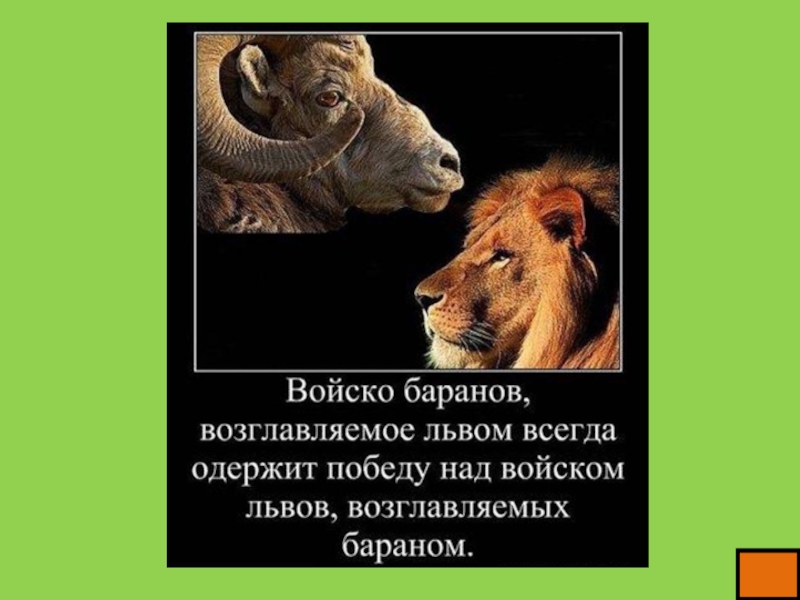 Правило лев. Войско Баранов возглавляемое львом всегда одержит. Стадо Львов управляемых бараном. Войско Баранов возглавляемое львом. Стадо Баранов под предводительством Льва.