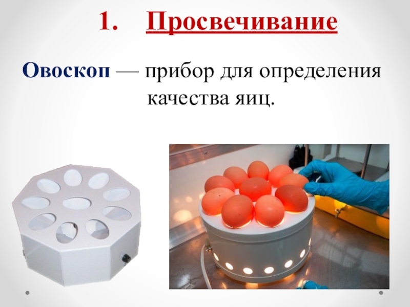 овоскоп пкя-10. овоскоп пкя-10 (он-10). овоскоп пкя-10. овоскоп молоточковый. прибор для определения качества яиц.