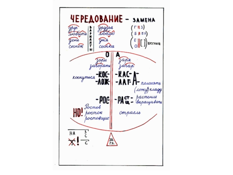 Схемы по русскому языку 5 класс