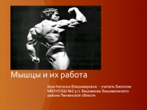 Презентация по биологии на тему:  Мышцы и их работа