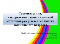 Обобщение опыта Тестопластика, как средство развития мелкой моторики рук детей младшего дошкольного возраста.