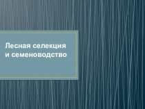Презентация по модулю ПМ 01.